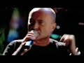 clip irm�o urso