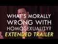 What's Morally Wrong with Homosexuality-- newer version