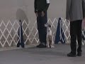 Wyatt and John in Open A Obedience November 2009