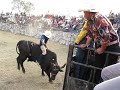 JARIPEO RANCHERO DF