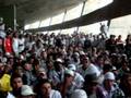 Foto v�deo