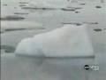 Huge Ice Shelf Breaks off in the Arctic