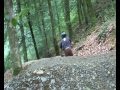 BRECHFA