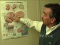 funcionamento do cérebro humano