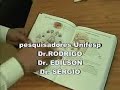 funcionamento do cérebro humano