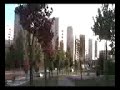 Torre Redonda II