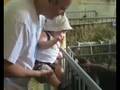 Lucas and the calf