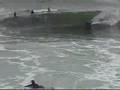 Kingy at Breakwall