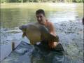 specchi al tevere