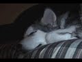 Keyush Sleeping
