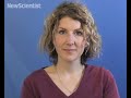 New Scientist video round-up -- June 13, 2008 New Scientist video round-up -- June 13, 2008