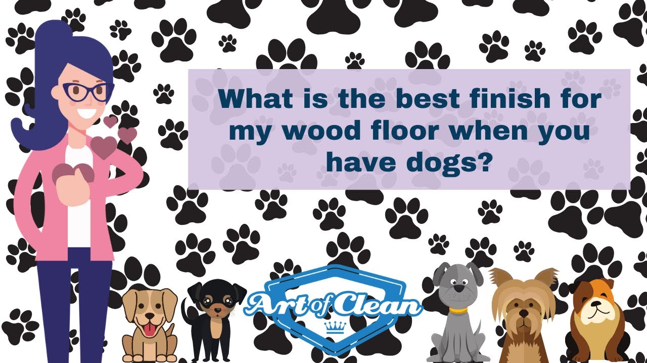 What is the best finish for my wood floor when you have  big dogs?