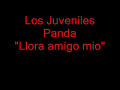 Los Juveniles Panda \"Llora Amigo Mio\"