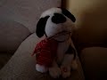 Mi guagua penco