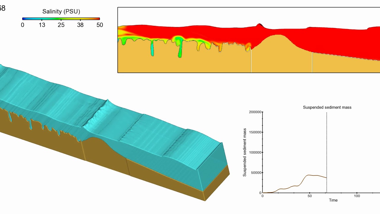 Estuary Breach CFD model using FLOW-3D