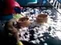 videos de They make me smile everyday except today :( Dip died at 4.30am this morning.