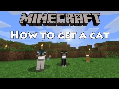 how to get a cat i minecraft