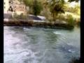 videos de il tevere roma