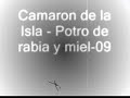 camaron de la isla potro de rabia y miel camaron de la isla potro de rabia y miel