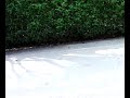 Ferrari California 1 Spyshot