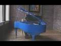 Branson Missouri One hand piano player 