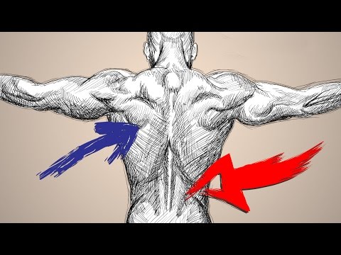 how to adjust lower back