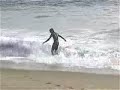 Skimming