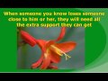 Cheap funeral flowers