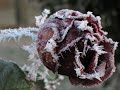 Ambient electro experiment