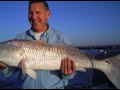DaParson - Da Bulls (Bull Red Fishing)