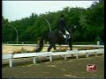 Dressage-H Rehbein & Donnerwetter Hamburg Derby (St George)