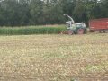 Maize2009 with Seamo