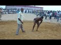 Kaaliya naag wins again.. MP Amar singhM4H03374.MP4