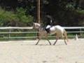 videos de Max dressage.avi