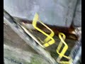 Mountain Bike 17-05-08