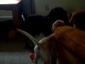 Sawyer And Tucker Play