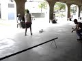 David de Souza Fs Nollie boardslide