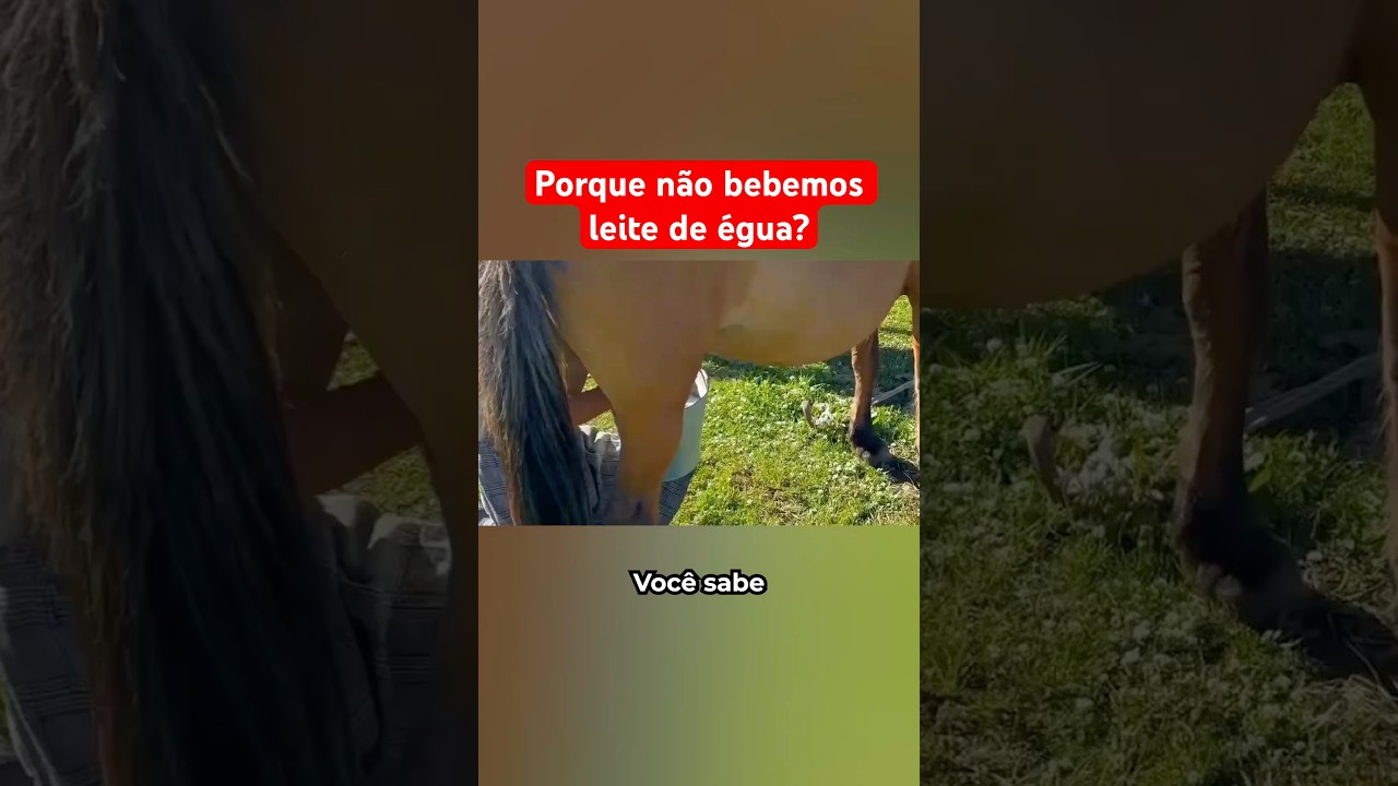 Porque Não Bebemos Leite De Égua?
