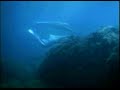 Once upon a time - Rusalochka The Little Mermaid - Flixster Video