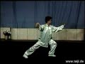 Tai Ji Quan Yang  forma 40