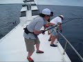 Tuna,Yellow Fin 8.5kg I-Style