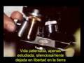 La vida al final del Imperio