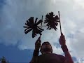 flower sticks trick   double elicopter