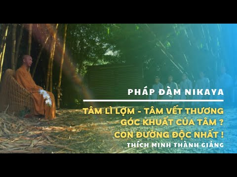 Pháp Đàm NIKAYA - Tâm Lì Lợm - Tâm Vết Thương - Góc Khuất Của Tâm ? Con Đường Độc Nhất !