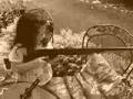 Gun Totin' Mamas