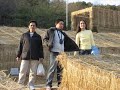 poks korean movie