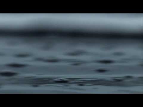 Grizzly Bear with Victoria Legrand - Slow life