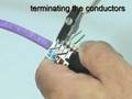 Category 6 UTP Connector Termination - Giganet
