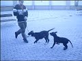 See video
