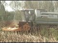 Fortschritt MDW E 524 Sunflow harvest